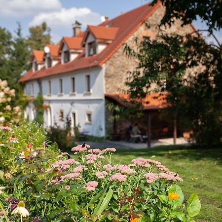 Villa Greta Świerzawa Exteriör bild