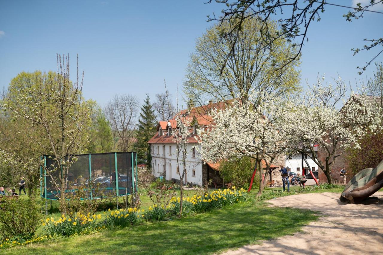 Villa Greta Świerzawa Exteriör bild