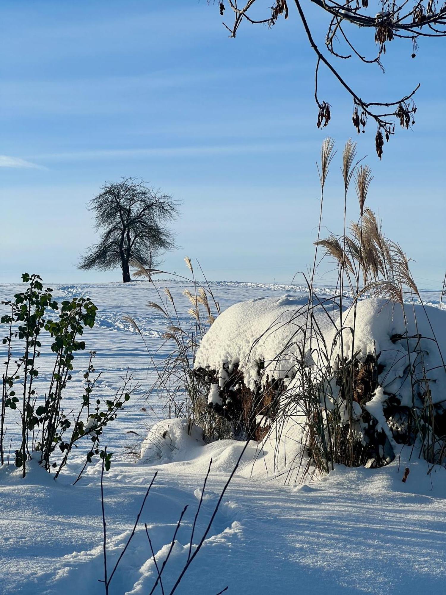 Villa Greta Świerzawa Exteriör bild