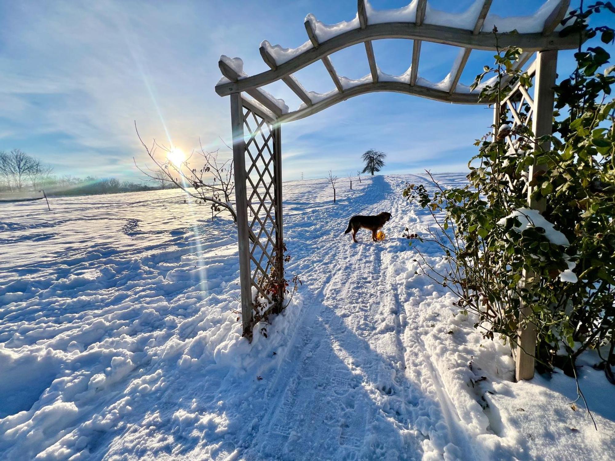 Villa Greta Świerzawa Exteriör bild